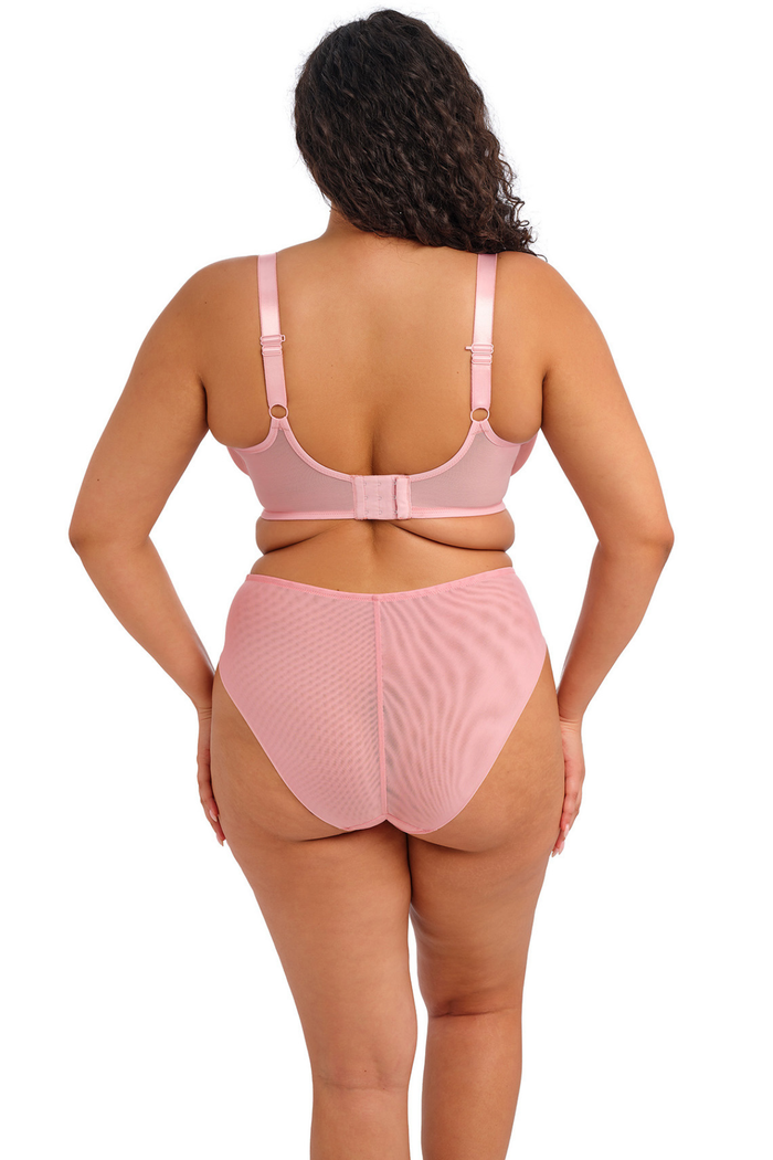 Aerith Rose Brief
