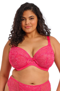 Darcie Plunge Bra